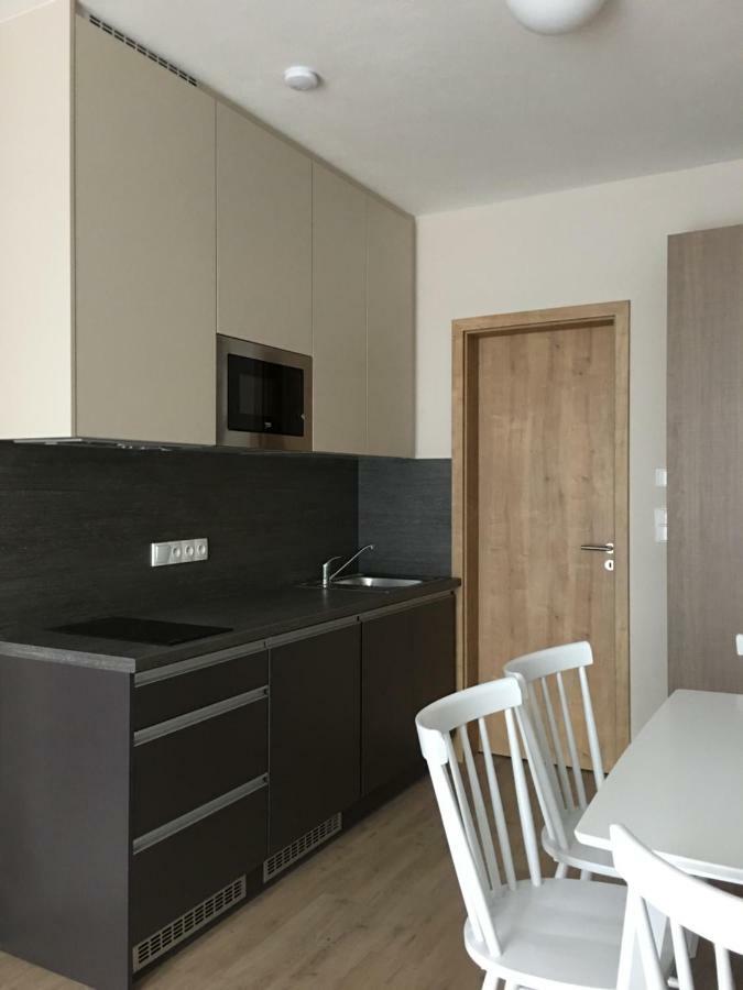Zlaty Apartman Dolní Morava Dış mekan fotoğraf